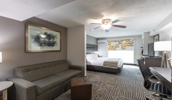 1 King Bed, Suite